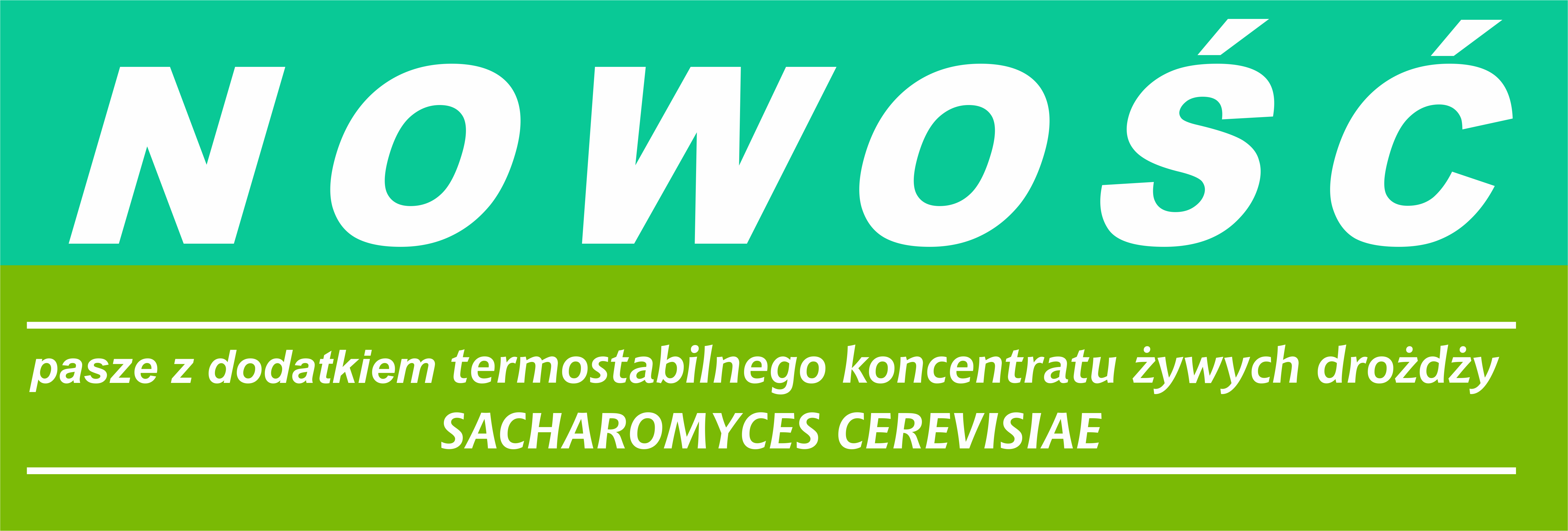 nowosc